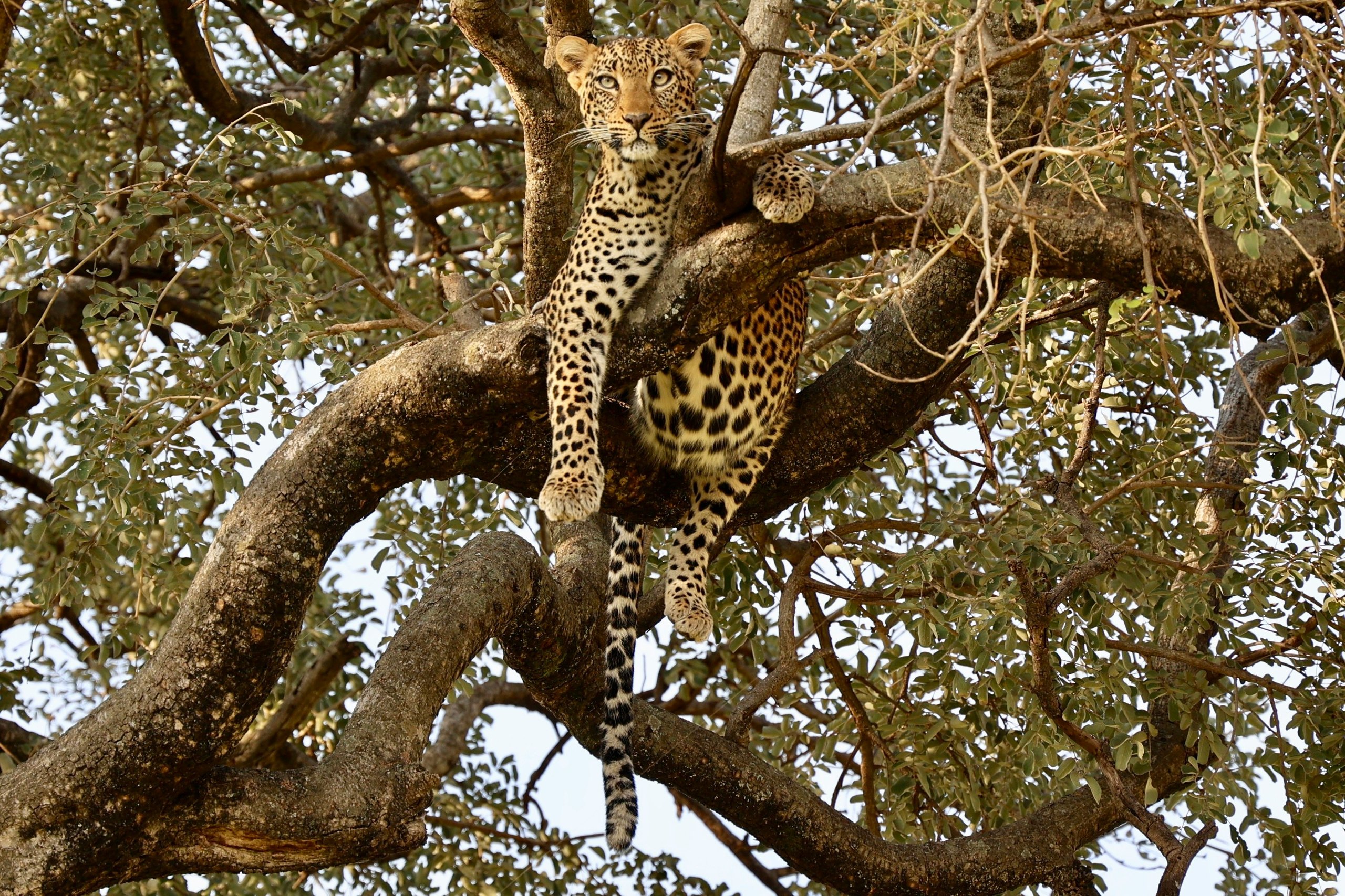 Tarangire & Crater Taster, safari route in Tanzania