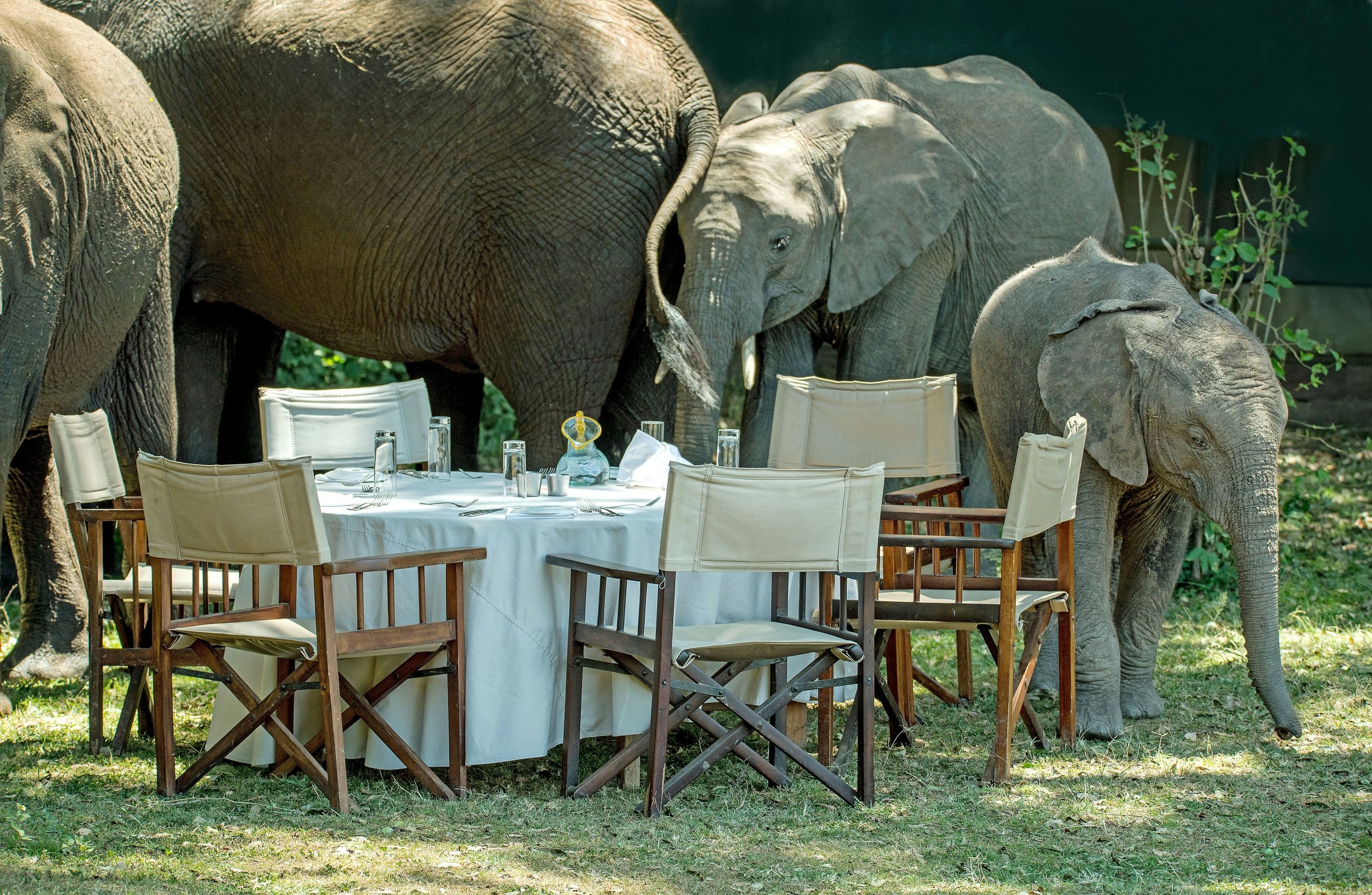 Scenes from this safari journey: Honeymoon Northern Circuit
