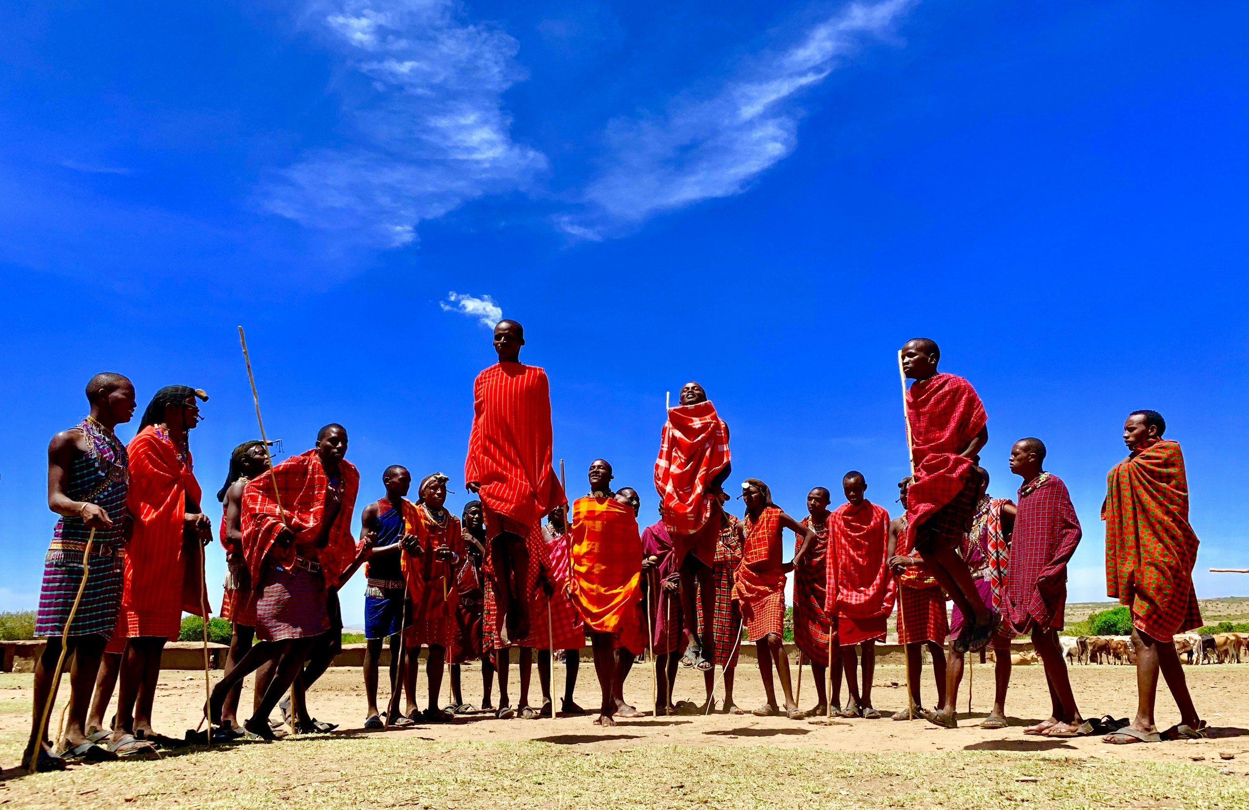 Northern Circuit with Cultural Immersion, safari route in Tanzania